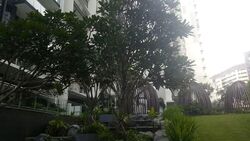 Bartley Ridge (D13), Condominium #555563991